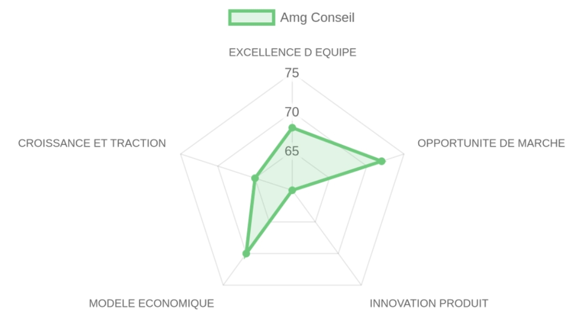 Radar d'évaluation — Amg Conseil